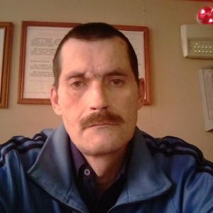 Черемисов, 53 года, Тула