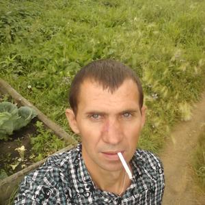 Сергей Мелнтьев, 43 года, Барнаул