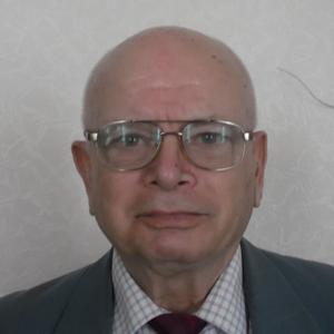 Belik Anatolij, 84 года, Москва