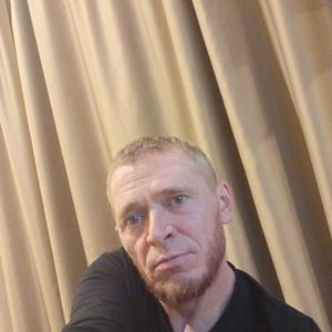 Egor, 44 года, Вязьма