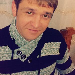 Денис, 43 года, Ярославль