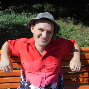 Александр Нефедов, 46 лет, Тула