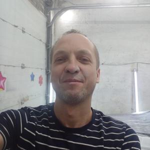 Аркадий Мудрецов, 43 года, Новосибирск