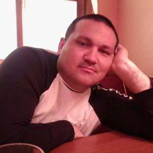 Александр, 43 года, Ногинск