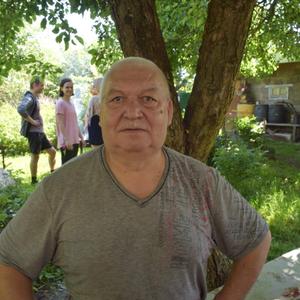 Михаил, 69 лет, Калининград