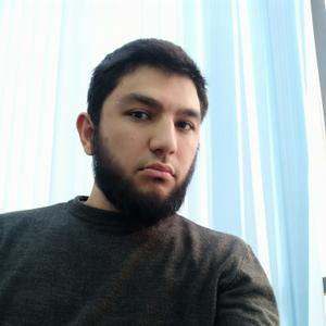 Farruh, 29 лет, Ташкент