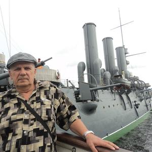 Коля, 71 год, Томск