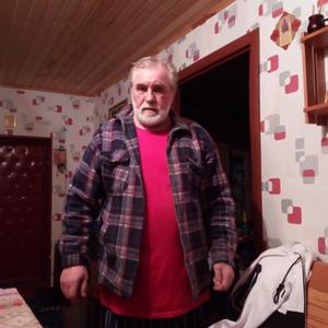 Парни в Казани (Татарстан): Александр, 69 - ищет девушку из Казани (Татарстан)