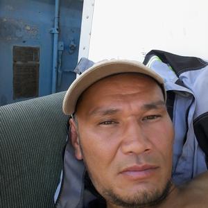Марат, 41 год, Павлодар