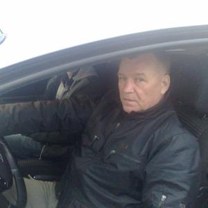 Владимир, 65 лет, Подольск
