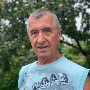 Григорий, 65 лет, Сарапул
