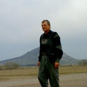 Николай, 75 лет, Тольятти