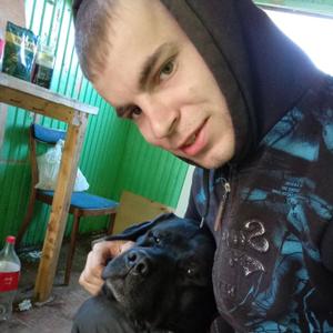 Владимир, 25 лет, Луга