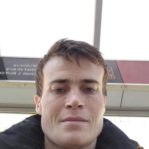 Анатолий Козлов, 29 лет, Нижний Новгород