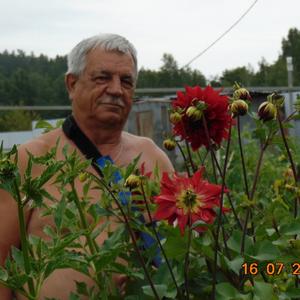 Валерий, 71 год, Вишневогорск