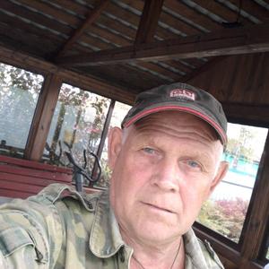 Парни в Егорьевске: Пётр, 69 - ищет девушку из Егорьевска