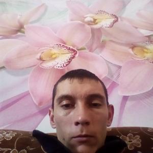 Алексей Белов, 33 года, Барнаул