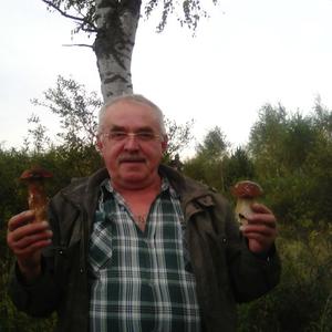 Николай, 70 лет, Москва