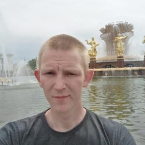 Алексей, 29 лет, Горки-10