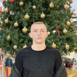 Владимир, 23 года, Смоленск