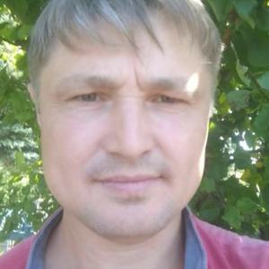 Парни в Нижнекамске: Игорь, 42 - ищет девушку из Нижнекамска