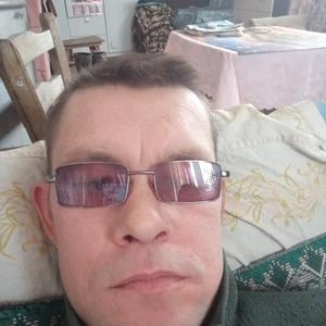 Саша, 41 год, Витебск