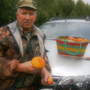 Николай Безводинских, 55 лет, Екатеринбург