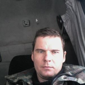 Алексей Ильин, 44 года, Псков