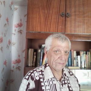 Владимир, 72 года, Краснодар