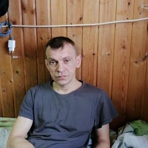 Дмитрий, 40 лет, Горки Ленинские