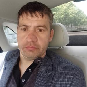 Дмитрий Медведев, 42 года, Казань