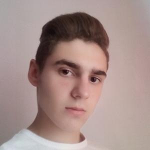Artyom, 23 года, Тюмень