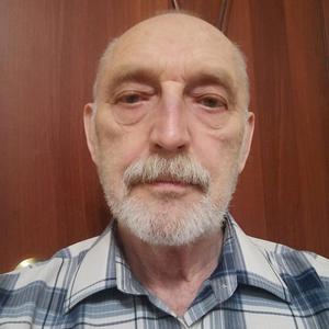 Юрий, 71 год, Заинск