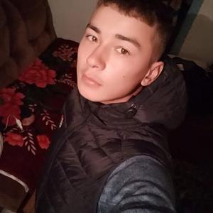 Дмитрий, 24 года, Петропавловск