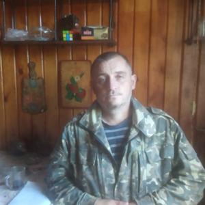 Дима Шебеко, 43 года, Минск