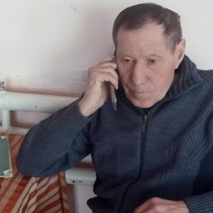 Парни в Бийске: Геннадий Шелехов, 69 - ищет девушку из Бийска