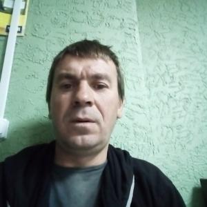 Николай, 45 лет, Тольятти