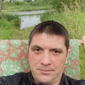 Дима, 37 лет, Тула