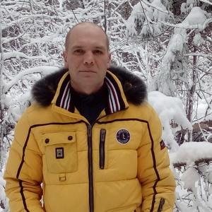 Алексей, 44 года, Кременки