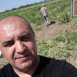 Тимур, 42 года, Новороссийск