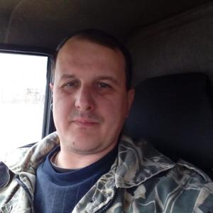 Дмитрий, 44 года, Шаховская