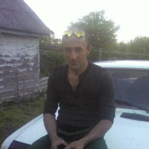 Александр Святоха, 55 лет, Калач