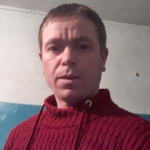 Николай, 30 лет, Воронеж