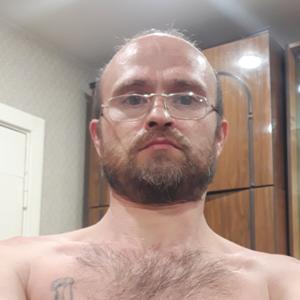 Сергей, 43 года, Саров