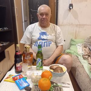 Алексей, 65 лет, Томск
