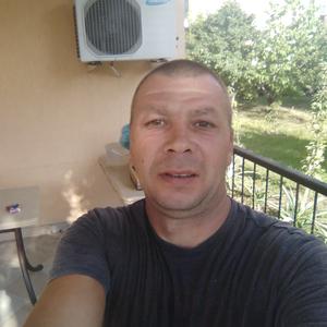 Василий, 44 года, Сочи