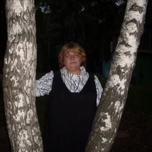 Девушки в Краснозаводске: Маргарита, 58 - ищет парня из Краснозаводска