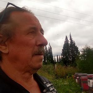 Александр, 67 лет, Татарстан