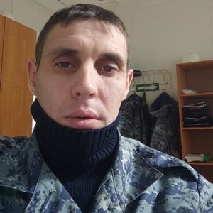 Андрей Губинский, 37 лет, Архангельск