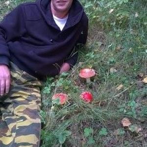 Парни в Бийске: Дмитрий, 43 - ищет девушку из Бийска